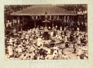 Les marchandes du marché du Pointe-à-Pitre