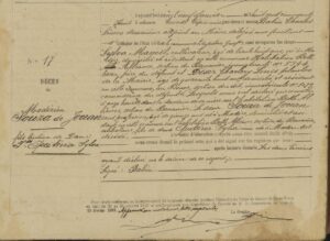 Que peut-on apprendre d’un registre de décès ? L’exemple du registre de Capesterre-Belle-Eau en 1858.