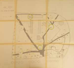 [FOCUS SUR] Le mystérieux baobab du square Pichon à Basse-Terre