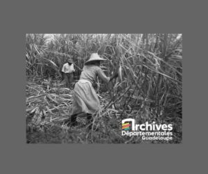 [FOCUS BUMIDOM] Un contexte économique et social difficile pour les jeunes des classes populaires en 1960.