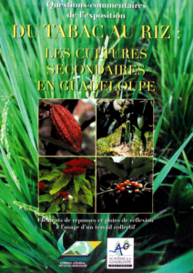 Du tabac au riz, les cultures secondaires en Guadeloupe