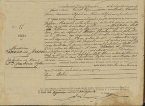 Que peut-on apprendre d’un registre de décès ? L’exemple du  registre de Capesterre-Belle-Eau en 1858.