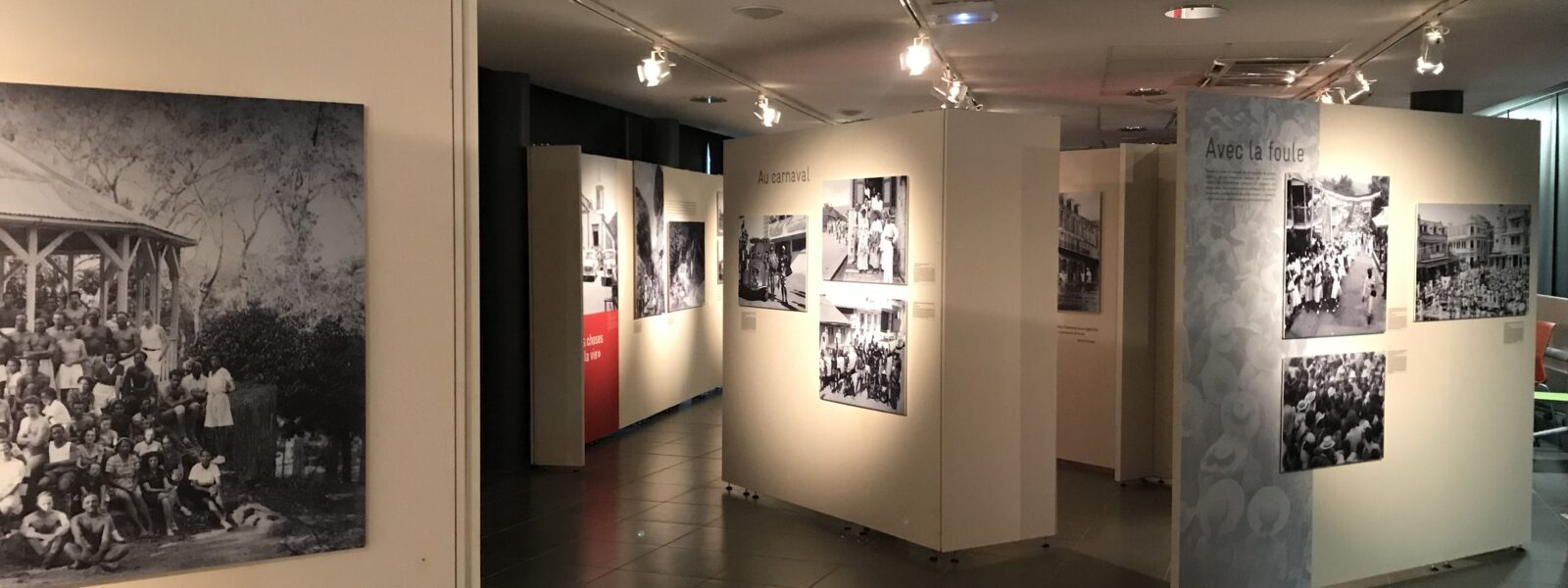 311439629_212780024412037_7476992861816305523_n (1)